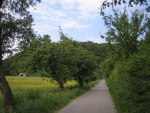 Allee Papendelle (2)
