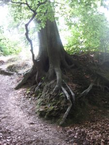 "Kawenzmann" am Hühnerbach standsicher?