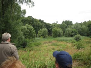 Blick in die Grube